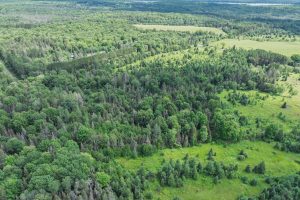 East20a Davies Rd, , Phelps,  WI 54554 USA