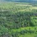 East20a Davies Rd, , Phelps,  WI 54554 USA