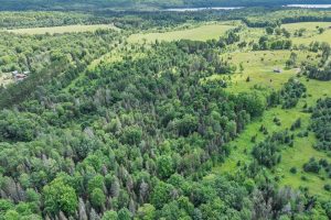 East20a Davies Rd, , Phelps,  WI 54554 USA