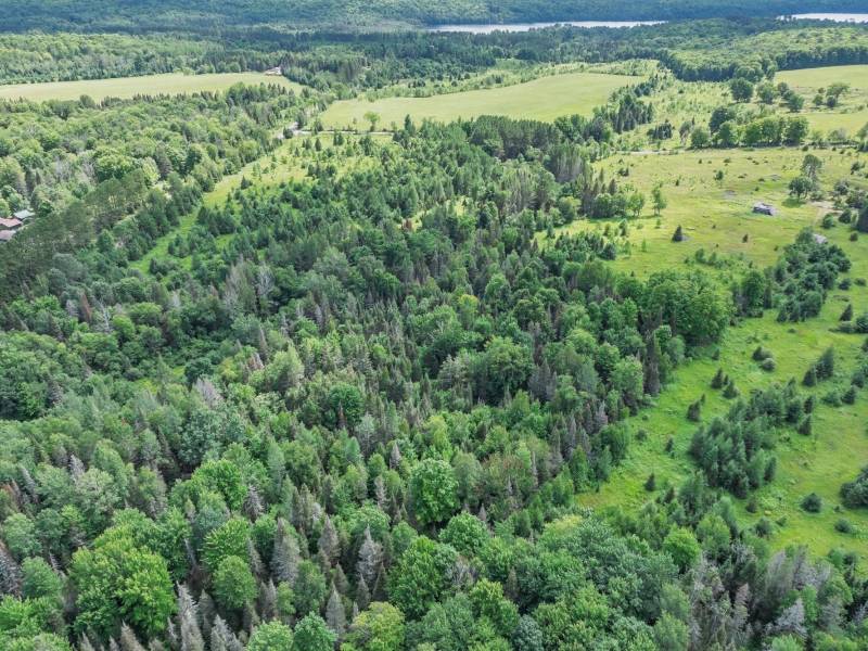East20a Davies Rd, , Phelps,  WI 54554 USA