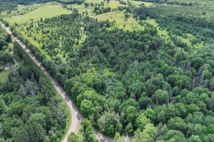 East20a Davies Rd, , Phelps,  WI 54554 USA