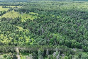 East20a Davies Rd, , Phelps,  WI 54554 USA
