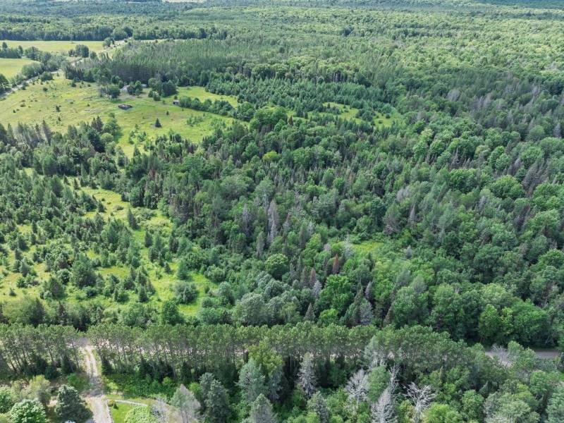 East20a Davies Rd, , Phelps,  WI 54554 USA