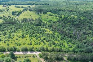 East20a Davies Rd, , Phelps,  WI 54554 USA