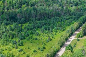 East20a Davies Rd, , Phelps,  WI 54554 USA
