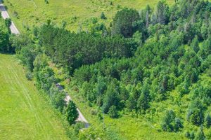 East20a Davies Rd, , Phelps,  WI 54554 USA