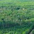 East20a Davies Rd, , Phelps,  WI 54554 USA