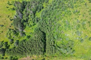 East20a Davies Rd, , Phelps,  WI 54554 USA