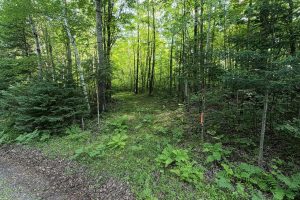 29 Frontier Rd, , Presque Isle,  WI 54557 USA