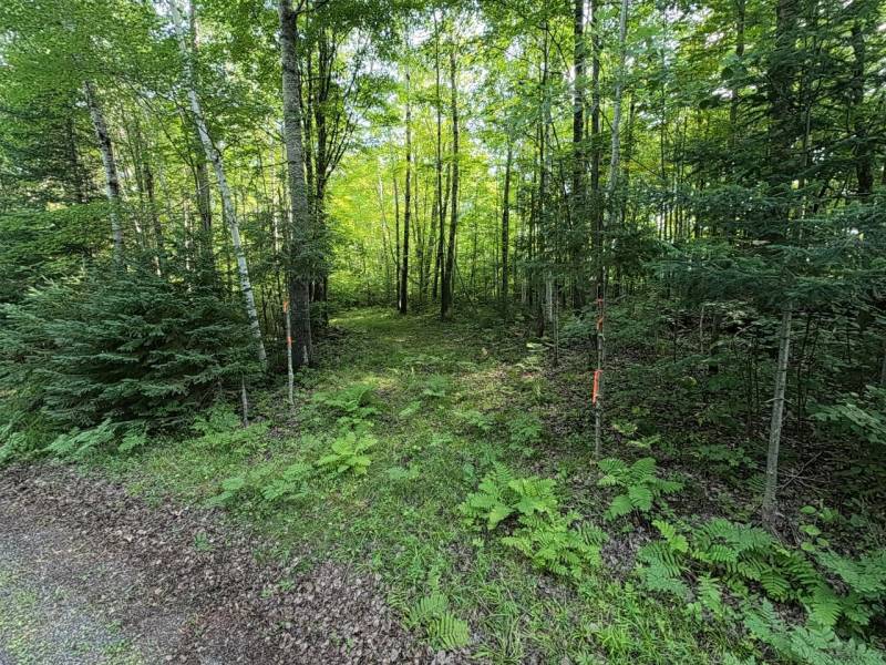 29 Frontier Rd, , Presque Isle,  WI 54557 USA