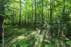 29 Frontier Rd, , Presque Isle,  WI 54557 USA
