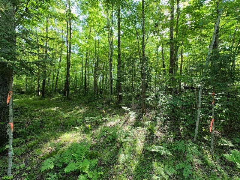 29 Frontier Rd, , Presque Isle,  WI 54557 USA