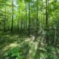 29 Frontier Rd, , Presque Isle,  WI 54557 USA