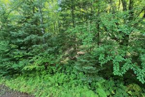 29 Frontier Rd, , Presque Isle,  WI 54557 USA