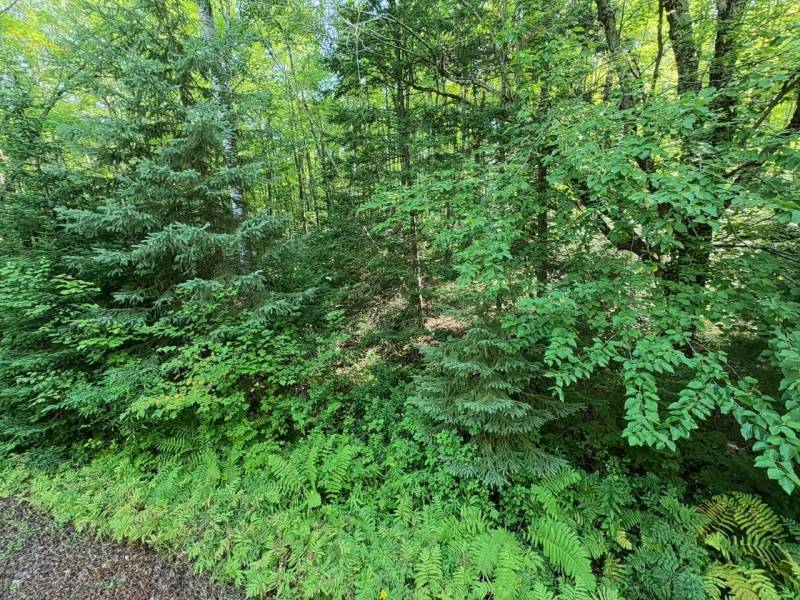 29 Frontier Rd, , Presque Isle,  WI 54557 USA