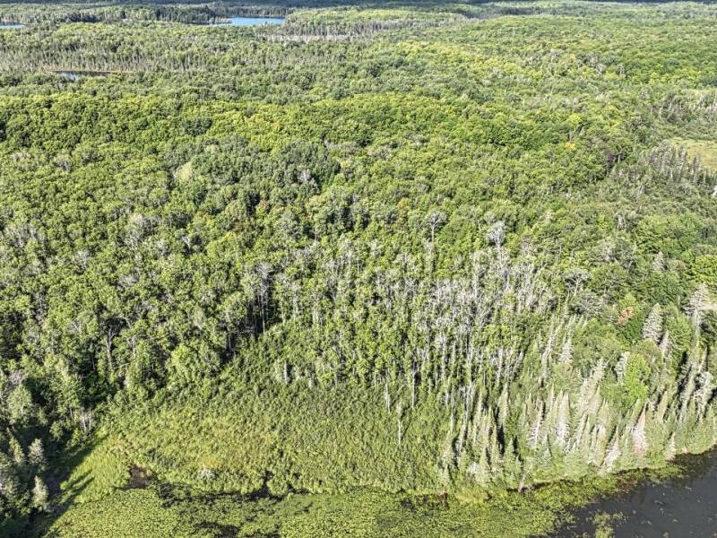 29 Frontier Rd, , Presque Isle,  WI 54557 USA