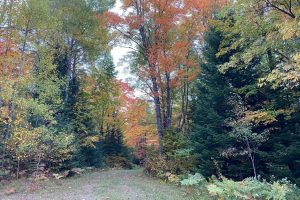 29 Frontier Rd, , Presque Isle,  WI 54557 USA