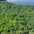 2 Off Campground Rd, , Three Lakes,  WI 54562 USA
