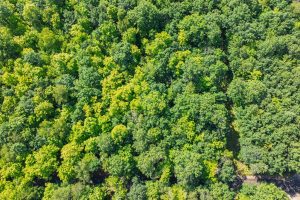 2 Off Campground Rd, , Three Lakes,  WI 54562 USA