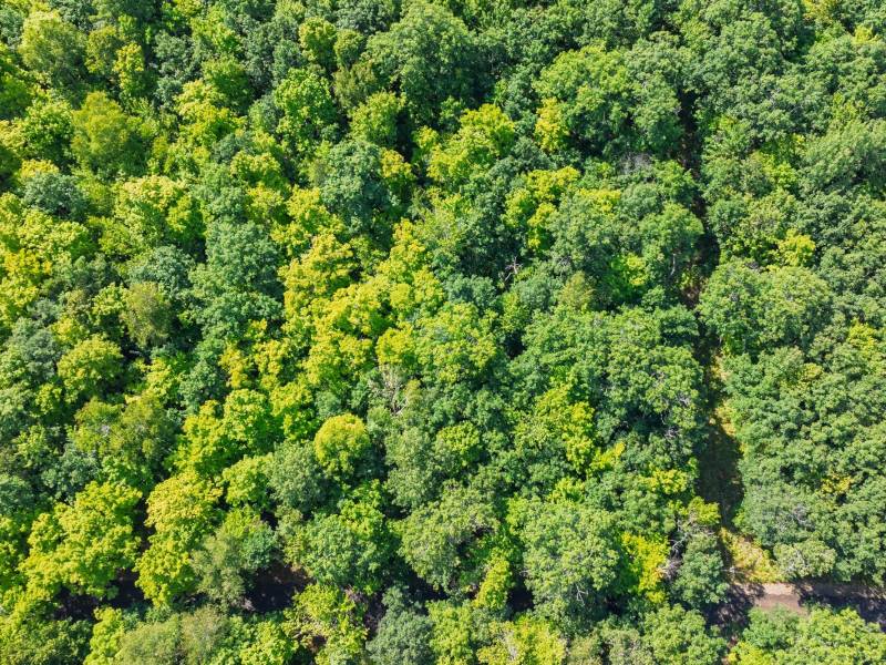 2 Off Campground Rd, , Three Lakes,  WI 54562 USA