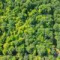 2 Off Campground Rd, , Three Lakes,  WI 54562 USA