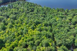 2 Off Campground Rd, , Three Lakes,  WI 54562 USA