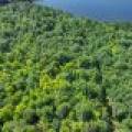 2 Off Campground Rd, , Three Lakes,  WI 54562 USA