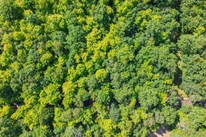 2 Off Campground Rd, , Three Lakes,  WI 54562 USA