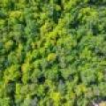 2 Off Campground Rd, , Three Lakes,  WI 54562 USA