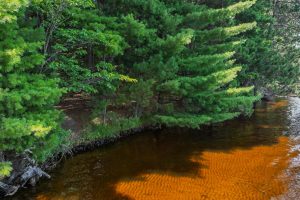2 Off Campground Rd, , Three Lakes,  WI 54562 USA