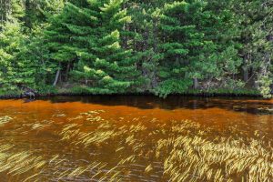 2 Off Campground Rd, , Three Lakes,  WI 54562 USA