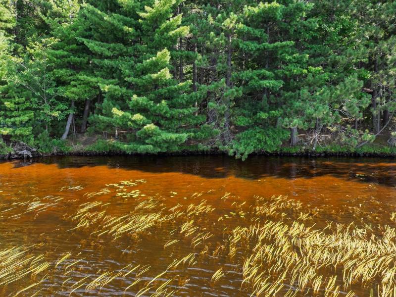 2 Off Campground Rd, , Three Lakes,  WI 54562 USA