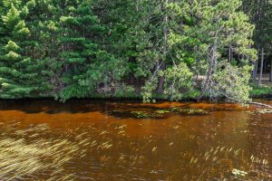 2 Off Campground Rd, , Three Lakes,  WI 54562 USA