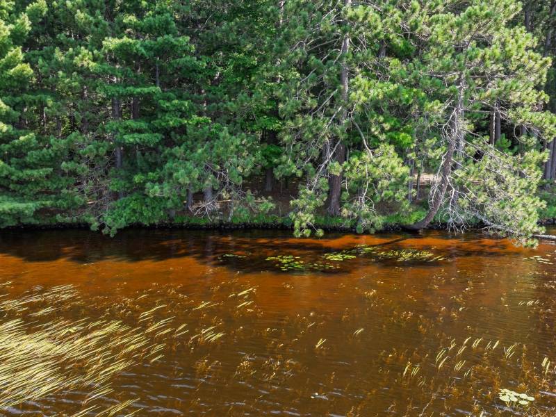 2 Off Campground Rd, , Three Lakes,  WI 54562 USA