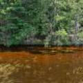 2 Off Campground Rd, , Three Lakes,  WI 54562 USA