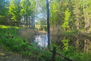 On Figi Rd, , Park Falls,  WI 54552 USA