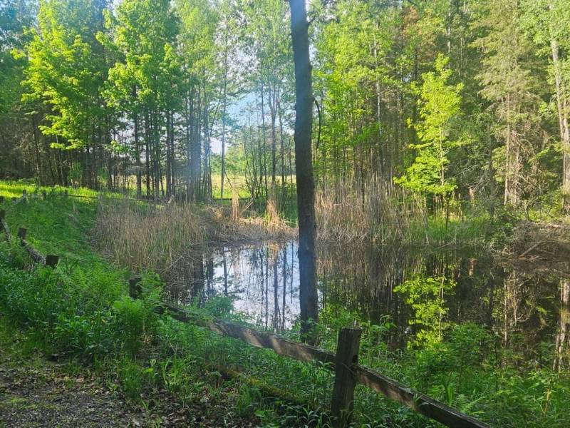 On Figi Rd, , Park Falls,  WI 54552 USA