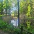 On Figi Rd, , Park Falls,  WI 54552 USA