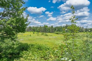 West20 Davies Rd, , Phelps,  WI 54554 USA