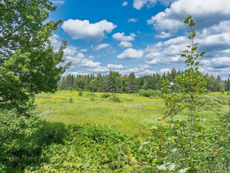 West20 Davies Rd, , Phelps,  WI 54554 USA