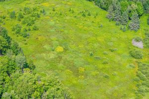 West20 Davies Rd, , Phelps,  WI 54554 USA
