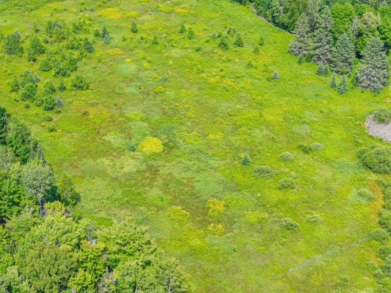 West20 Davies Rd, , Phelps,  WI 54554 USA