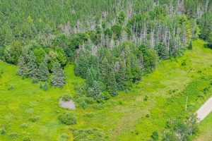 West20 Davies Rd, , Phelps,  WI 54554 USA