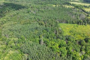 West20 Davies Rd, , Phelps,  WI 54554 USA