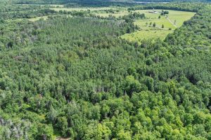 West20 Davies Rd, , Phelps,  WI 54554 USA