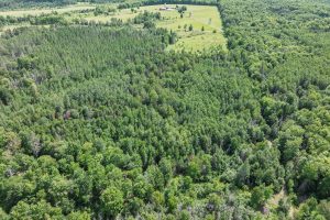 West20 Davies Rd, , Phelps,  WI 54554 USA