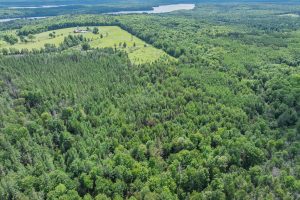 West20 Davies Rd, , Phelps,  WI 54554 USA