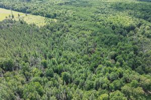 West20 Davies Rd, , Phelps,  WI 54554 USA