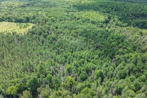 West20 Davies Rd, , Phelps,  WI 54554 USA