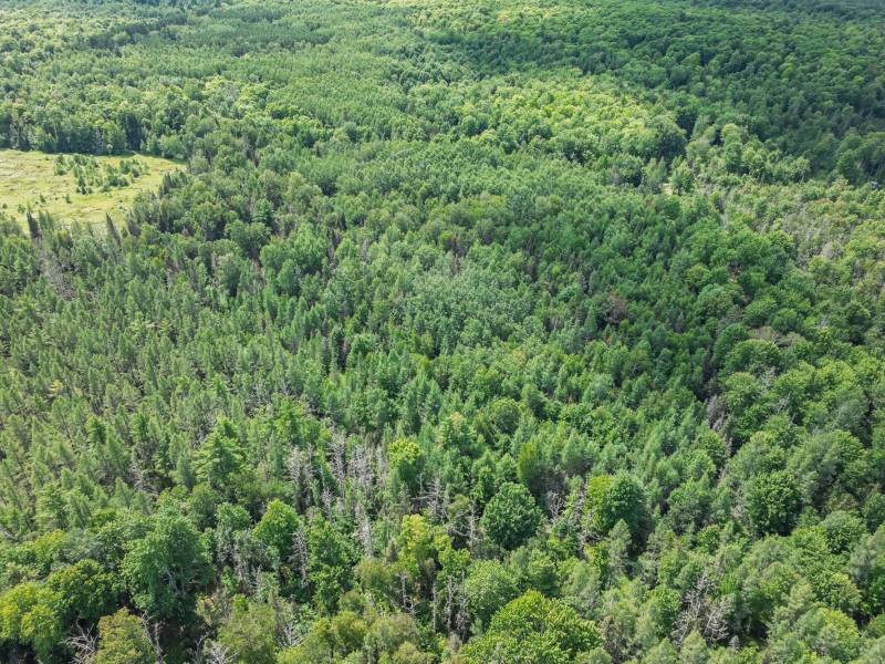 West20 Davies Rd, , Phelps,  WI 54554 USA